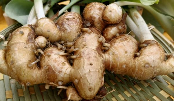 ɳ���Lʲô���ӵĈDƬ ɳ������Щ��Ч�c����