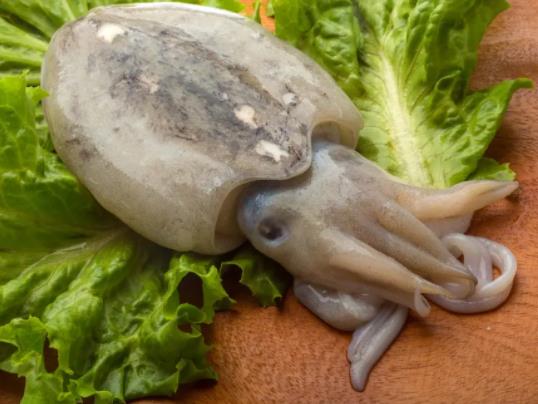 ī�~(y��)�ɷ�������߀�ܳԆ᣿�ݰl(f��)ī�~(y��)���Ü�ˮ߀����ˮ