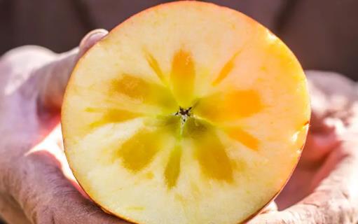 �����O���ǲ���һ�N�� �����O��������Ʒ�N��