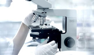 ���w���p10�q�������������߽���΢���һ���W����Ч����ȫ���