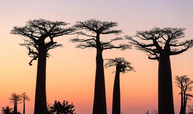 �n�����F���z���l��Ů���݌�ϵ����Ʒ���tˎ��Ʒ�|���dŮ�����w�