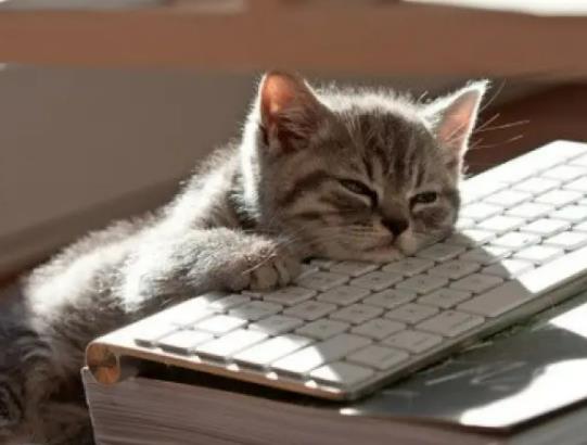 ��������֮����������ô�ˣ������^���ʲô���X����