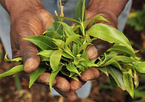 ȫ����Ψһ���Ԙ��~���ć������ч��ҳԿ� �ɲ�Q�顰�|�����ڡ�