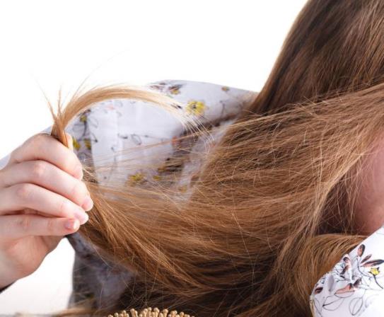 �^�l�_������o�����^�l���S��ô�o����