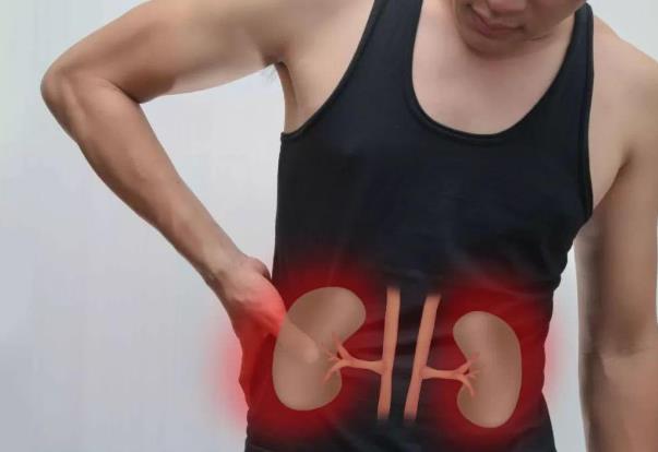 ���԰����׳�ʲô�ã����԰�������ô�Á�(l��i)��