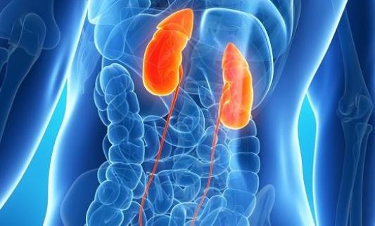 ���𾫹ܶ�����ԭ������Щ��ݔ���ܶ����İ��S�Y��