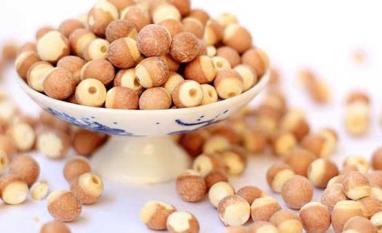 ���T�l�����I̓������ �{���I̓��ʳ������