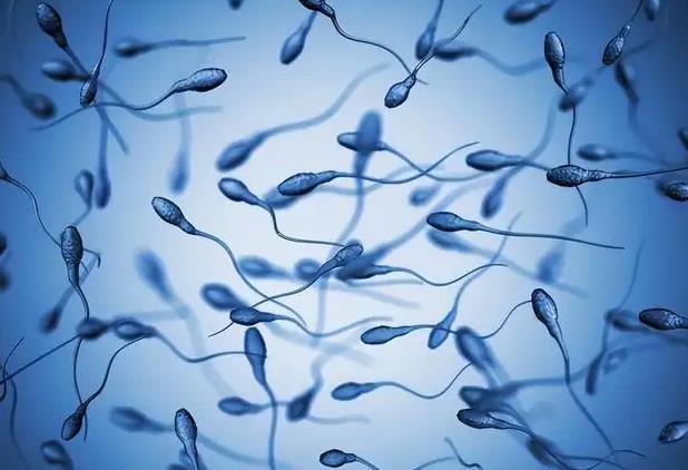 ������߾����|�����Ⱦƌ����ӵ�Ӱ�