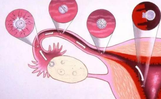 �ӌm��Ĥ��������Щ�z�飿��Щ�������ӌm��Ĥ����