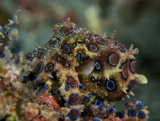 ʷ�϶�������~���{�h���~�����ڎ׷�犃Ț���26��������