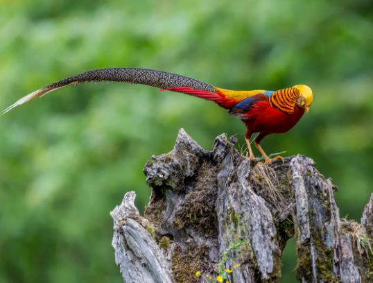 ���������������u���t���\�u���P��߀Ư��