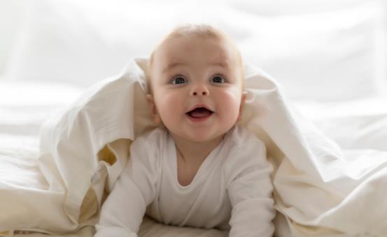 �����������Äe���@�׷Nʳ�� �ķN�����A(y��)��������������