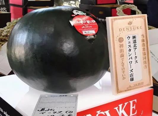 ʮ��ߙnˮ�����а񣬺����Ϯa���ܵ͘O�����F���ײ�ݮ�ڸ�����