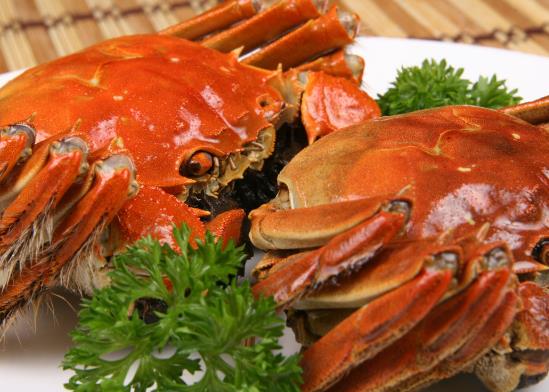 �ϲ�ʮ���خa��؛��܊ɽ�����lз���|�����r�������x�߻��u���ۜ��r