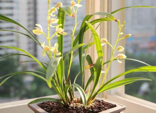 ʮ�����F���ܼ�ͥ���ԣ��m���ǳ��ͺ���ĵ���Ǹ��F���������