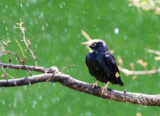 ʮ����ճ�˵��B�������˸����ģ������vԒ����Ƥ�W�^��B(y��ng)��������