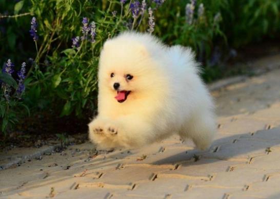 ʮ�󲻲�ҵĹ������������������̩�ϴ��˜غ�����