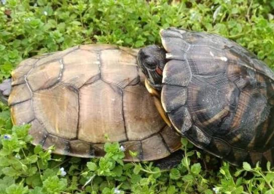 ʮ����ֵ���B�Ğ��������������t�����ǵ�ˮ��������A�����ֲ��V��