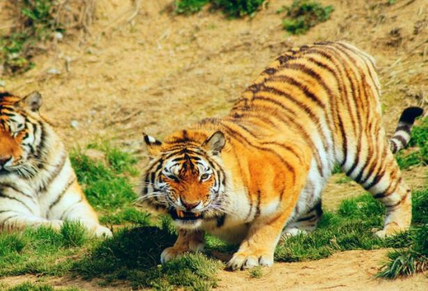 ����Ұ����(d��ng)���������᣿��ʲô���c(di��n)��