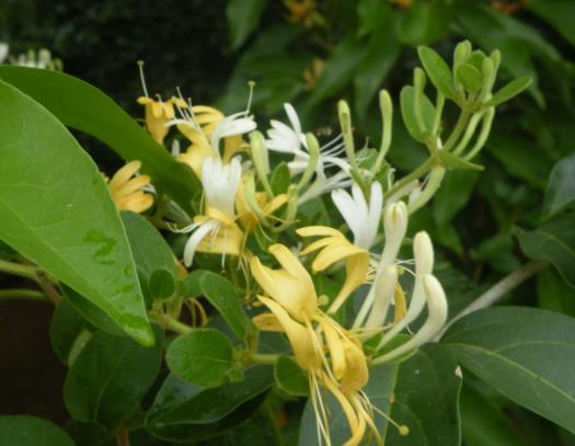 �Ƚ��y��ˮ�Ľ�������Щ�����y��ˮ׃�G��������