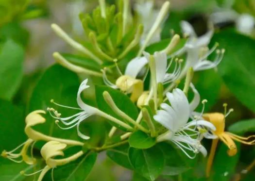 ���y����ҹ߀������һ�Ά᣿���y��ˮ�G��߀���Æ�