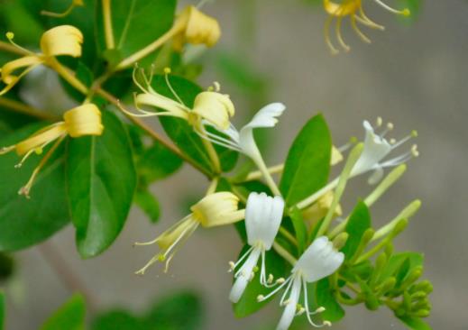 ���y����ҹ߀������һ�Ά᣿���y��ˮ�G��߀���Æ�