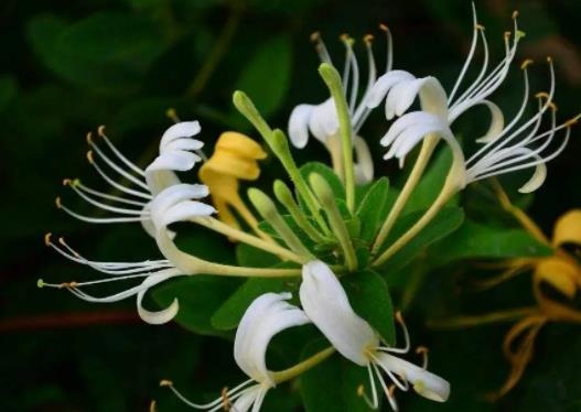 ���y��ˮ���ܺ�ʲôһ��ԣ����y����ˮ�ڶ���߀����ô