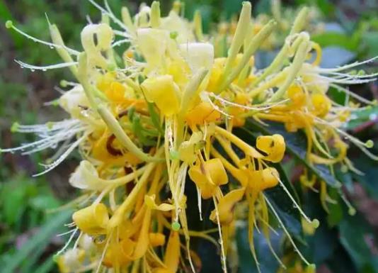 ���y��ˮ���ܺ�ʲôһ��ԣ����y����ˮ�ڶ���߀����ô