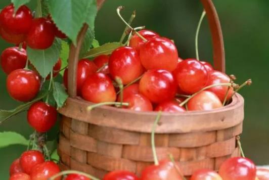 ���Һ����_���˕������ж������ҳԶ��˕���ʲô�Y��