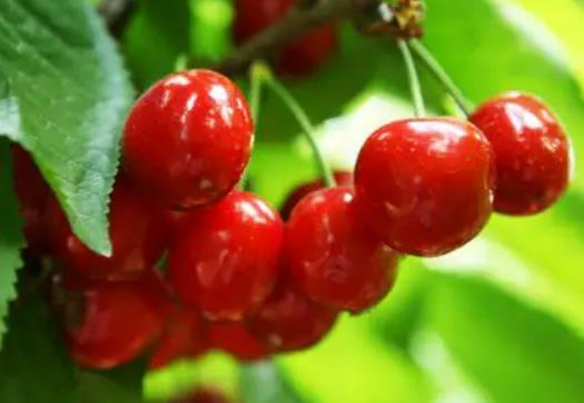 ���Һ����_���˕������ж������ҳԶ��˕���ʲô�Y��