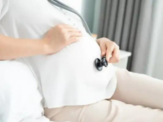 2022����������Ì�����2023�������Ì��������к��m