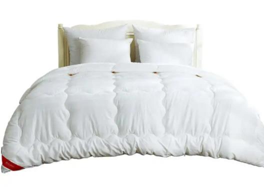 �Ϸ������w�׽�󶹱�ů�ͣ��󶹱��������