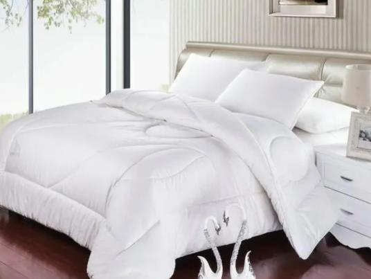 �������u��Ĵ󶹱�����Ҏ�᣿100Ԫ���ҵĴ󶹱�����Ć�