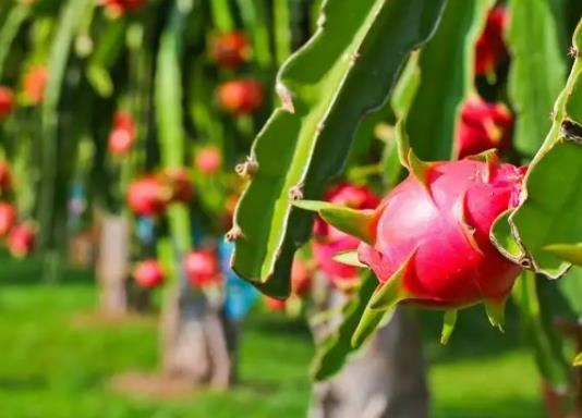 ��������ô�ӟ����ã��������������S�c(di��n)��ʲô