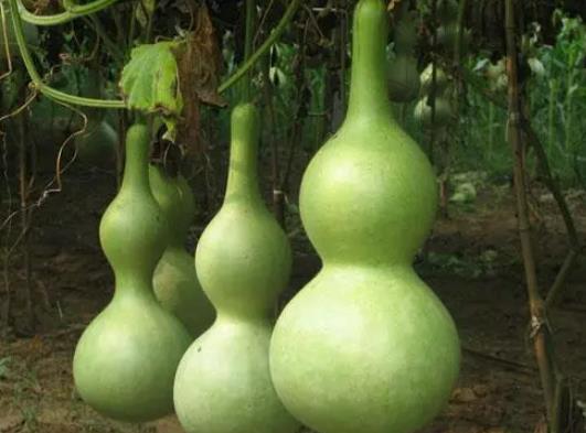 ���i���܎����J�᣿���J�ǲ��ǲ��ܒ�һ��