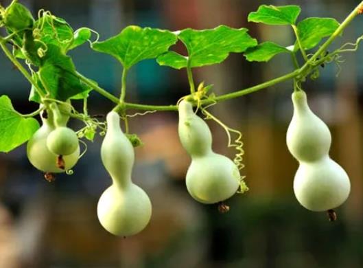 ��ͨ���J���ԓ�ɷ�᣿С���J�������ˆ�