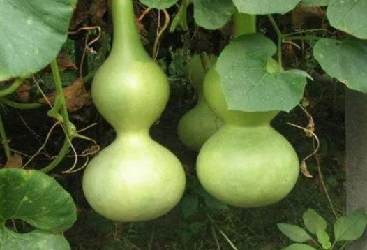 ���J��ͨ���J���`�Ԇ᣿���J�����^���˲�������