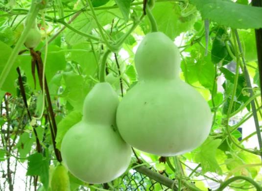 �ڼҒ���J��Щ��Ҫע��ģ�����ź��J�ׂ���