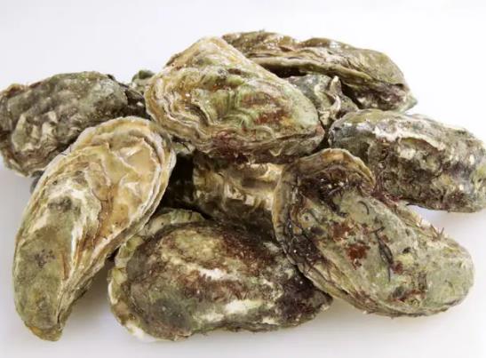 ��ϖ�]��ϖ����ô�_������ϖ�_����߀���]�����ó�