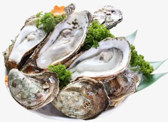 ��ϖ�]��ϖ����ô�_������ϖ�_����߀���]�����ó�