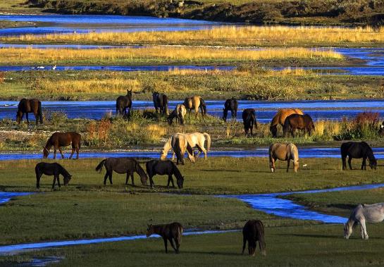 �½�ʮ�����ܚgӭ�ľ��c����ɽ��������{˹���^�����ɾ���Ĵ���