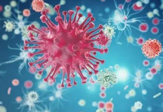 �¹�ζ�X���X��ʧ��ô�ί���ꖿ�����Բ�ͣ��ô�k