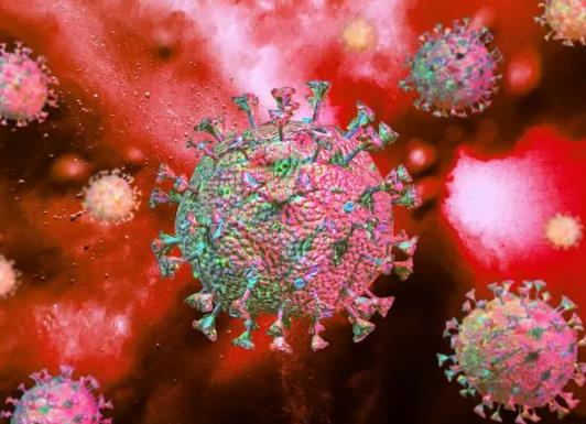 �����¹ڰl�����Գ԰��˽��᣿�¹ڷ������X��ζ�Xʧ�`��ԭ��