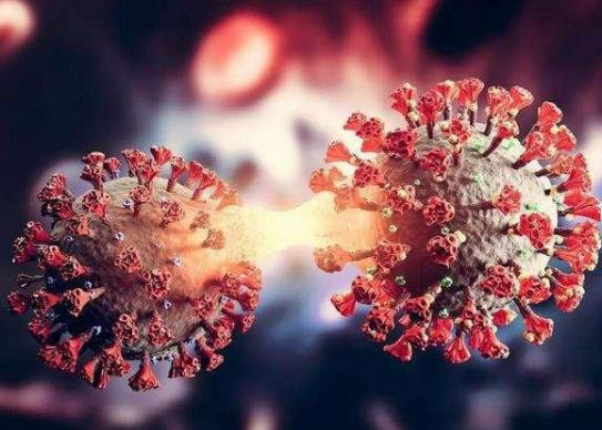 �����¹ڰl�����Գ԰��˽��᣿�¹ڷ������X��ζ�Xʧ�`��ԭ��