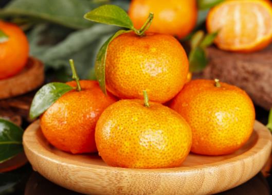 ɳ�ǽ��ϻ�߀�ǽ���ɳ�ǽ���ô�����