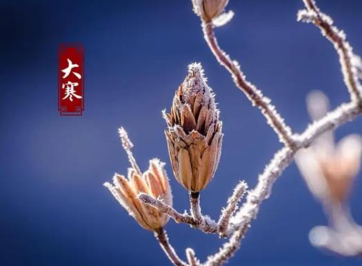 2023���ǲ������ŵĵ�һ�죿2023����^������ǁy�q