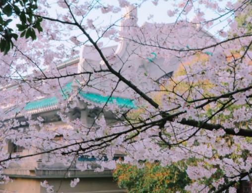 ���ѻ��_��ýY�������ѻ��ڎ��·��_��