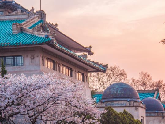 ���ѻ��_��ýY�������ѻ��ڎ��·��_��