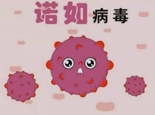 �Z�粡������߀���¹ڲ����������Z�粡�����¹ڲ�����׃����