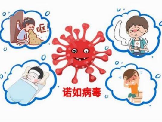 �Z�粡�����¹ڲ�����һ�N�����Z�粡�����¹ڲ�����ʲô�^�e